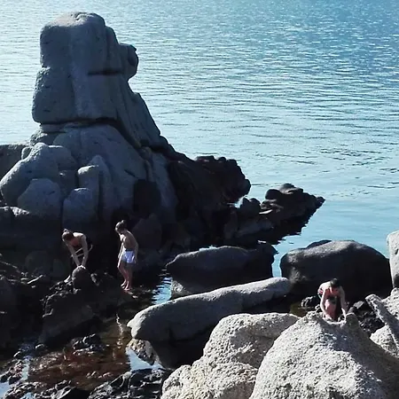 Mary